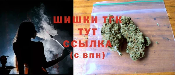 молекула духа Горняк