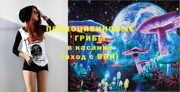 молекула духа Горняк