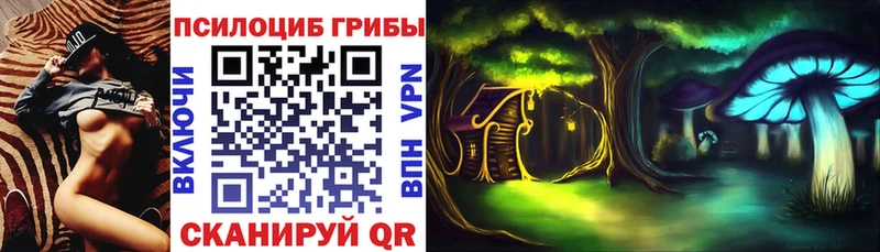 Псилоцибиновые грибы GOLDEN TEACHER  Междуреченск 