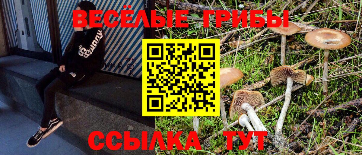 Псилоцибиновые грибы ЛСД Междуреченск