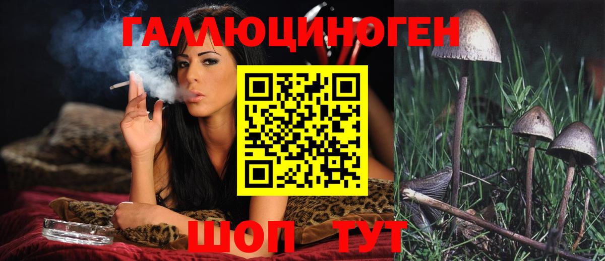 Галлюциногенные грибы прущие грибы  Междуреченск  Галлюциногенные грибы Cubensis 