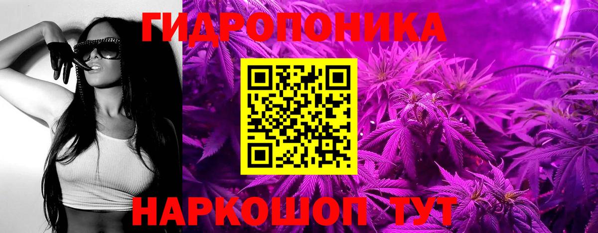 Конопля конопля Междуреченск